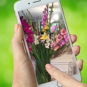 Meet your Posher, Nancy